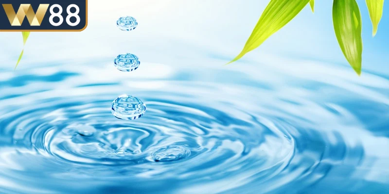 Nằm Mơ Thấy Nước Báo Hiệu Điều Gì Trong Tương Lai? 2 Nằm mơ thấy nước thường liên quan đến cảm xúc, sức khỏe và vận mệnh